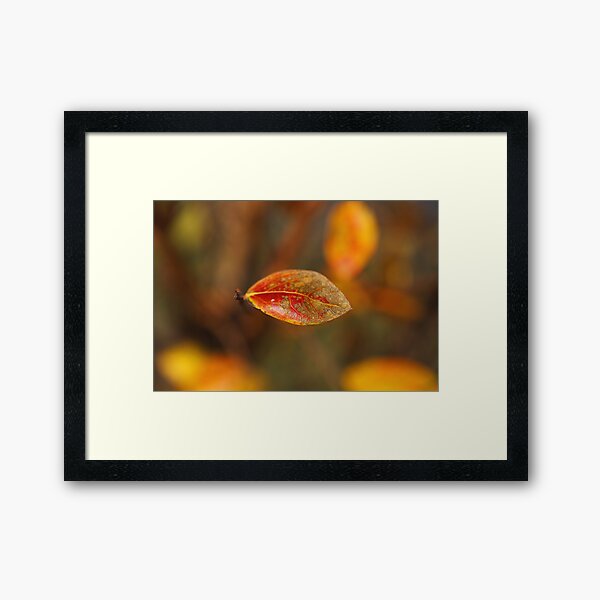 Item preview, Crepe Myrtle Tree Leaf  designed and sold by Joy Watson - Natural Light Photography .
