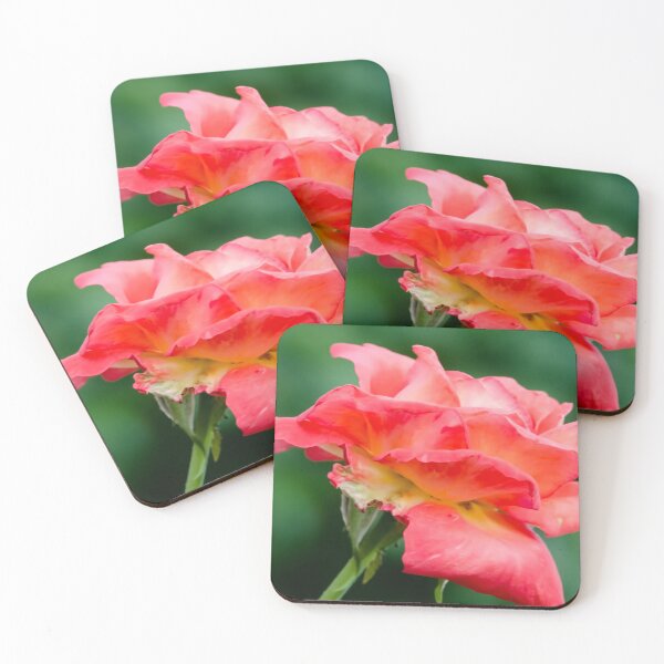 Item preview, Red Beauty, Rose image captured in Oklahoma USA. designed and sold by JohnDSmith.