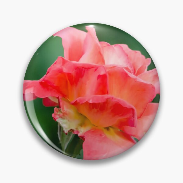 Item preview, Red Beauty, Rose image captured in Oklahoma USA. designed and sold by JohnDSmith.