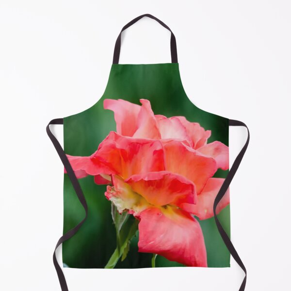 Item preview, Red Beauty, Rose image captured in Oklahoma USA. designed and sold by JohnDSmith.