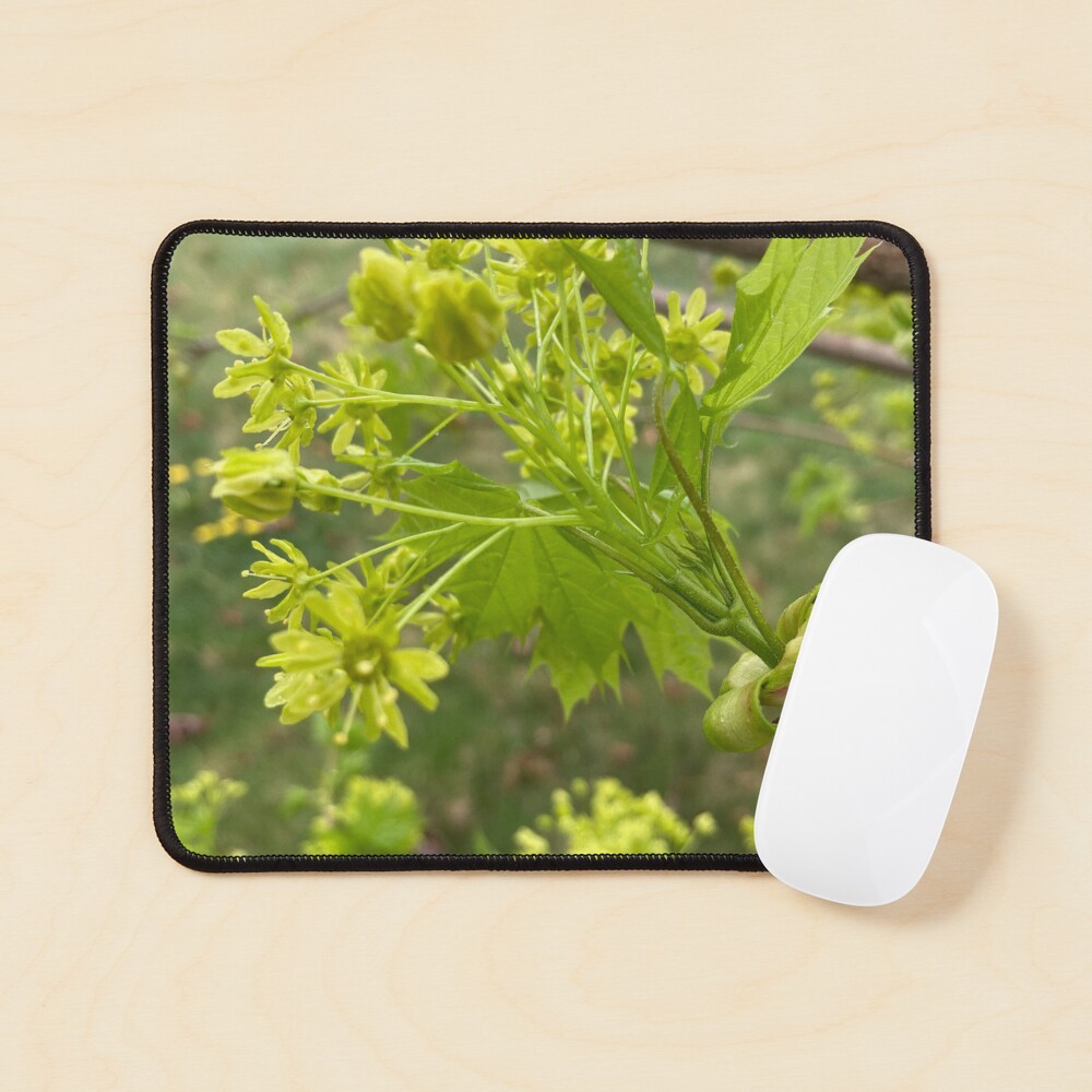 Item preview, Mouse Pad designed and sold by Amanda1775.