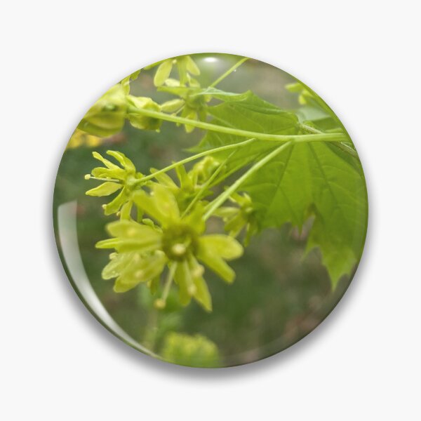 Item preview, Spring Maple  designed and sold by Amanda1775.