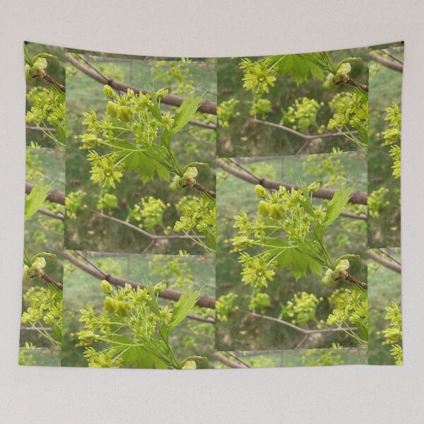 Item preview, Spring Maple  designed and sold by Amanda1775.