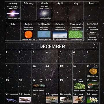 Artwork thumbnail, Cosmic Calendar by puzzlewocky