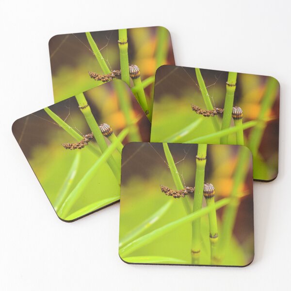 Item preview, Green water bamboo stalk with seeds designed and sold by kall3bu.