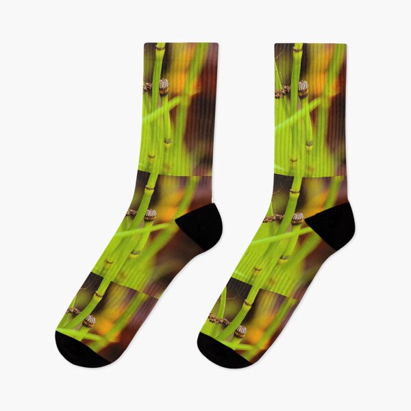Item preview, Green water bamboo stalk with seeds designed and sold by kall3bu.
