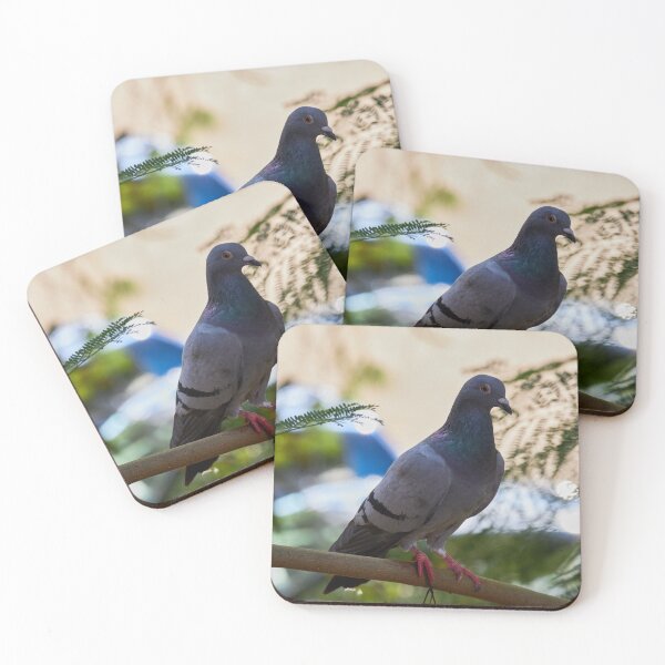 Item preview, Urban Pigeon designed and sold by Mrtweety.