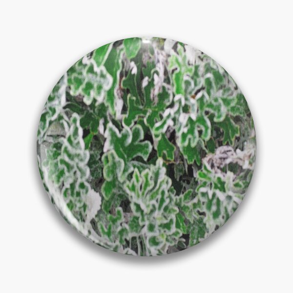 Item preview, Lush Cineraria Foliage designed and sold by lukefranklinart.