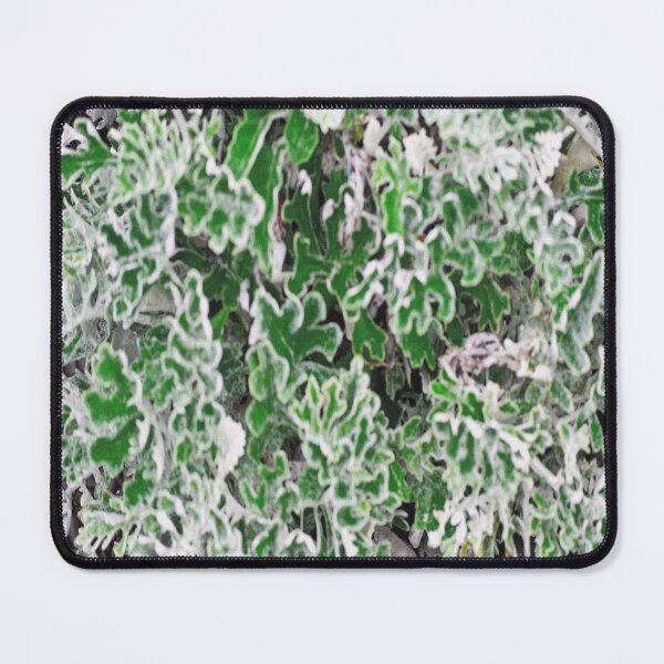 Item preview, Lush Cineraria Foliage designed and sold by lukefranklinart.