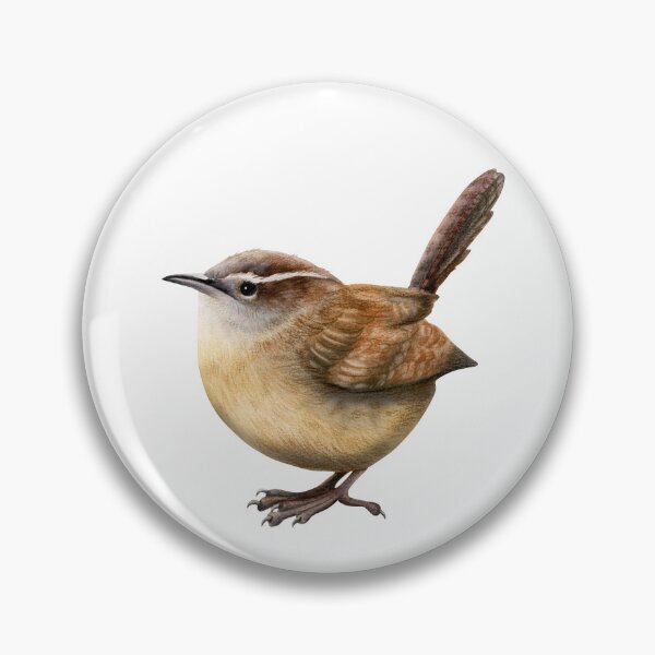 Item preview, Eurasian wren hand drawn bird for stickers, prints, cases designed and sold by Elena Malgina.
