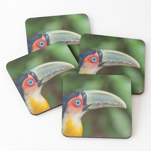 Item preview, Tucan designed and sold by MARTINNOVA.