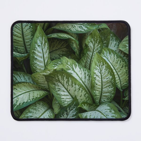 Item preview, Green foliage designed and sold by MARTINNOVA.