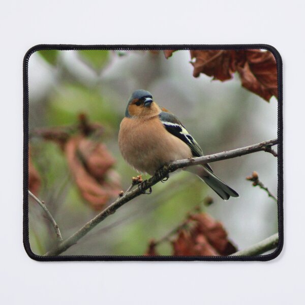 Item preview, perching designed and sold by KathleenDawson.
