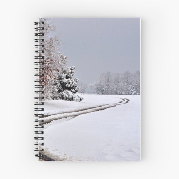 Aperçu de l'œuvre Southern Illinois Winter Scene 6_ déc. 2012 créée et vendue par michaelasamples.