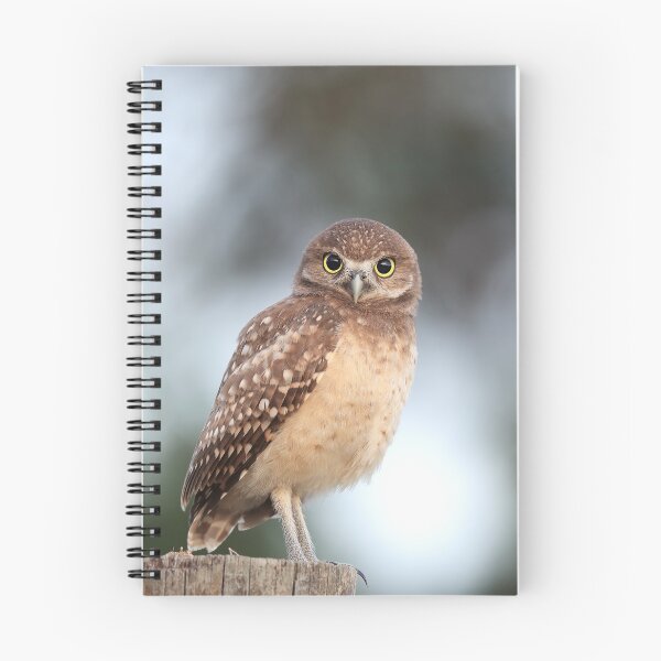 Item preview, Owlet designed and sold by mlorenz.