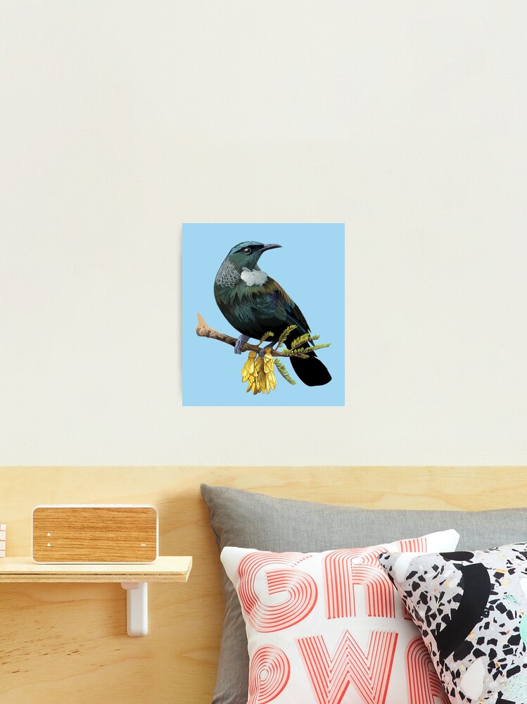 Thumbnail 1 of 3, Photographic Print, Tui designed and sold by Lavinia Knight.
