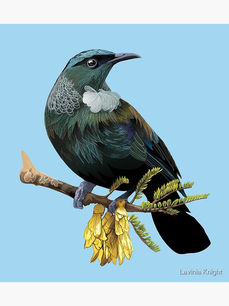 Thumbnail 3 of 3, Photographic Print, Tui designed and sold by Lavinia Knight.