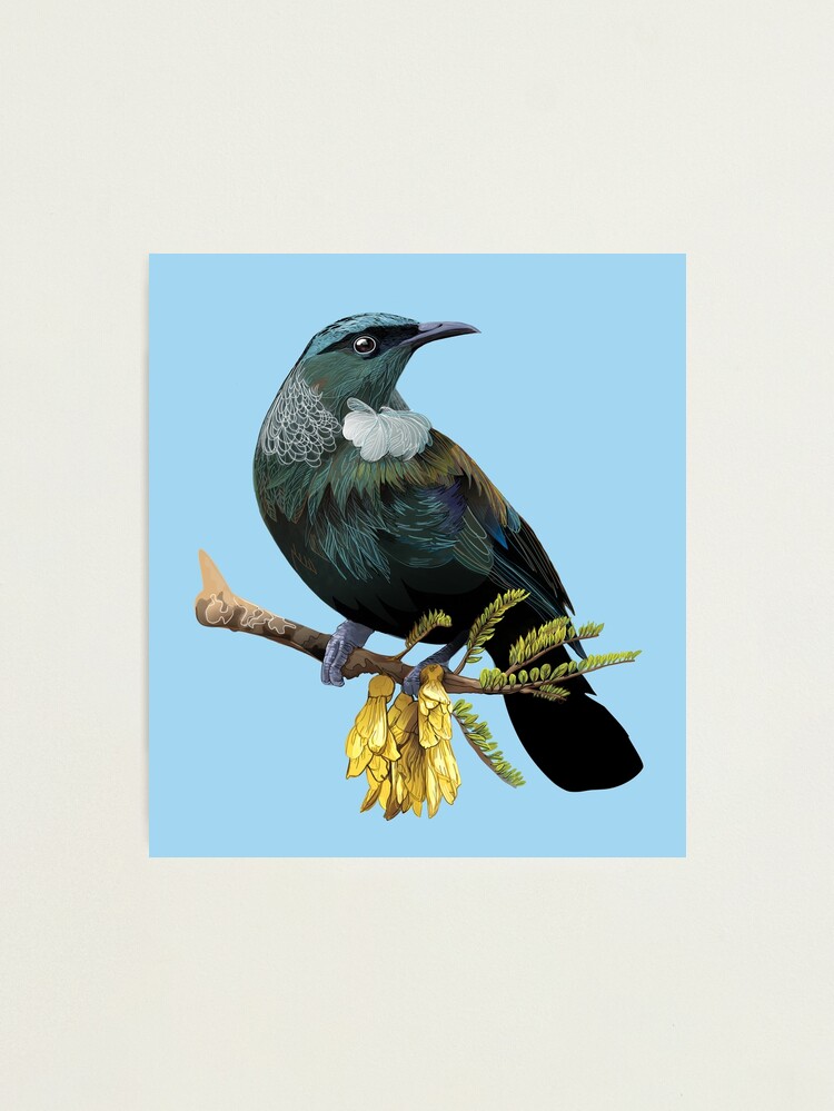 Thumbnail 2 of 3, Photographic Print, Tui designed and sold by Lavinia Knight.