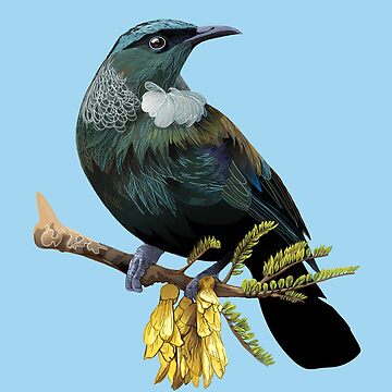Artwork thumbnail, Tui by LaviniaKnight