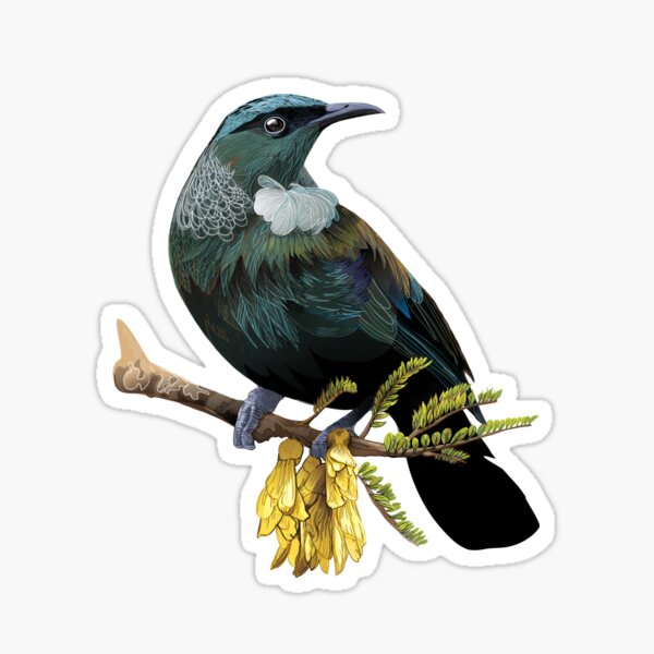 Tui Sticker