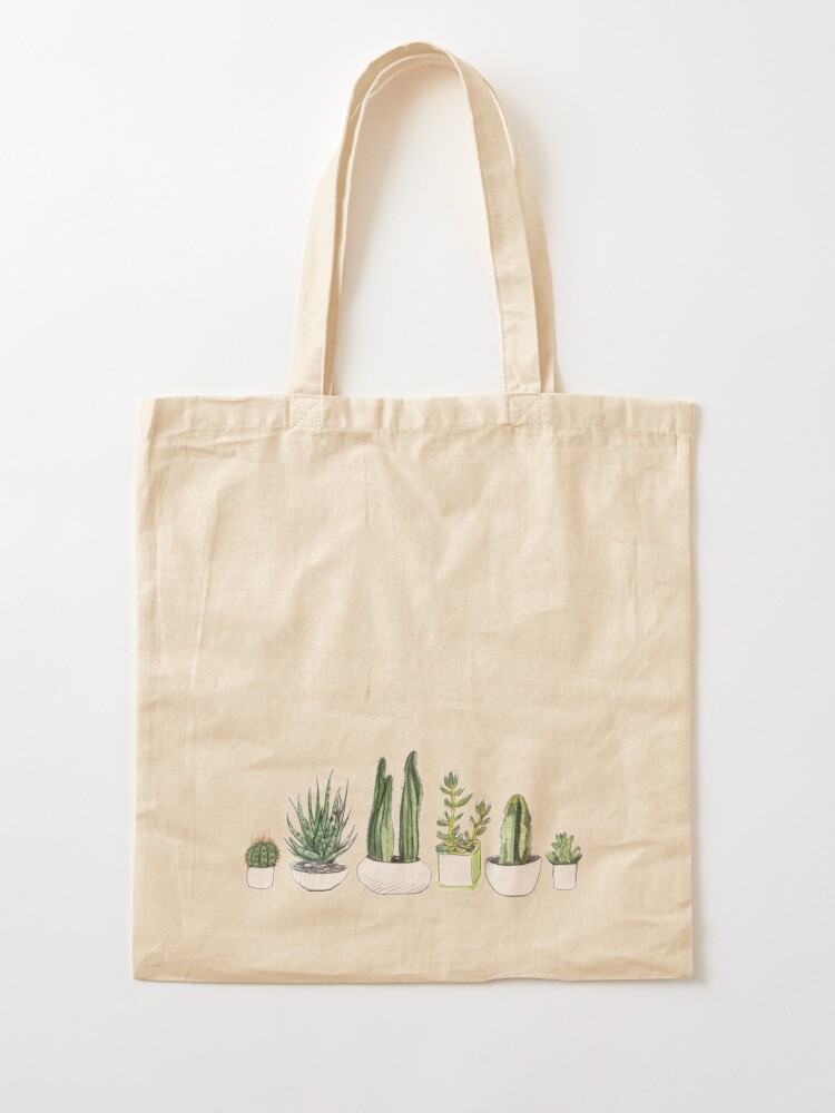 Teacher appreciation Succulent plant - Bag a Gift