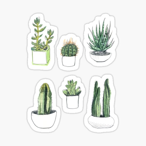 Plantas Stickers for Sale