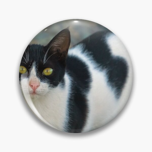 Item preview, A cat's life designed and sold by likbatonboot.