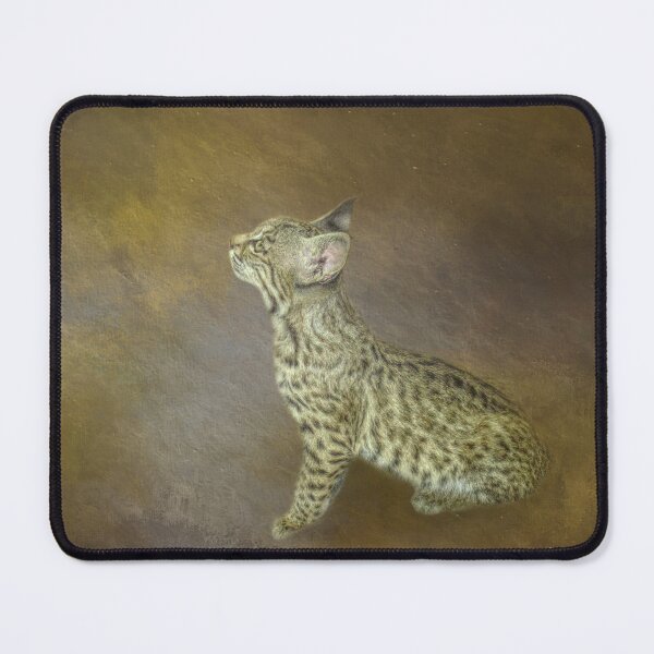 Item preview, Bobcat Baby designed and sold by Elisabeth Lucas.