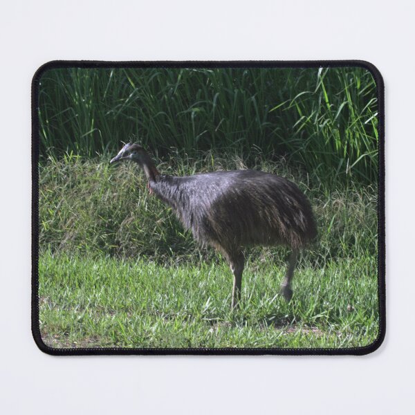 Item preview, Juvenile Cassowary designed and sold by STHogan.