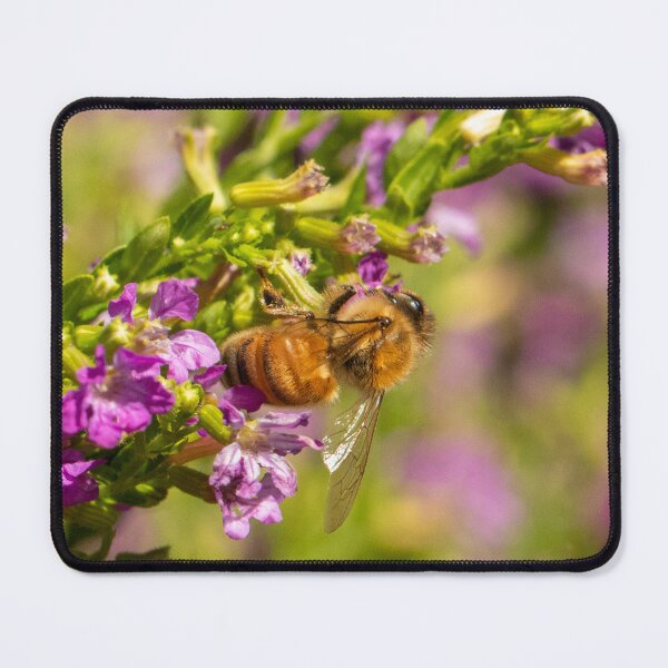 Item preview, Honey Bee 8 designed and sold by Jacquiamber.