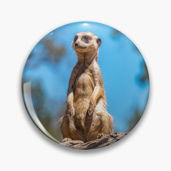 Item preview, Meerkat designed and sold by Ross.A.Campbell.