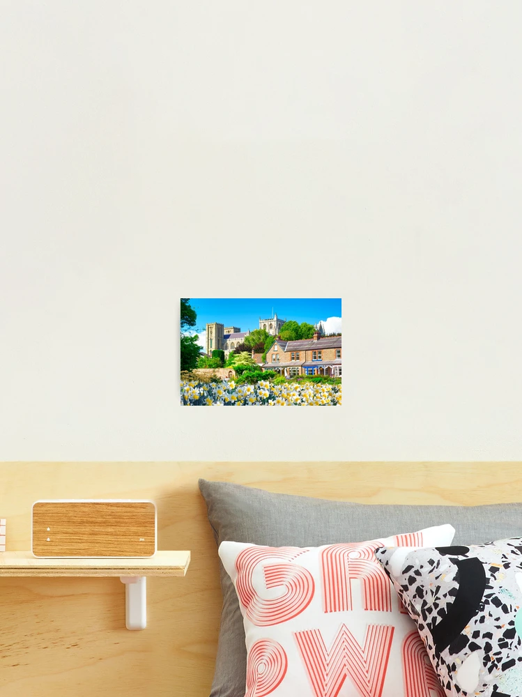 Thumbnail 2 of 3, Photographic Print, Springtime In Ripon designed and sold by Alisonchambers2.