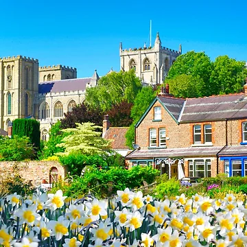 Artwork thumbnail, Springtime In Ripon by Alisonchambers2