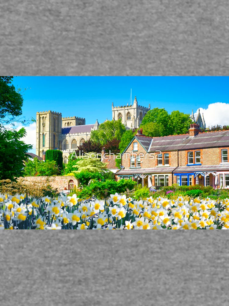Thumbnail 6 of 6, Lightweight Sweatshirt, Springtime In Ripon designed and sold by Alisonchambers2.
