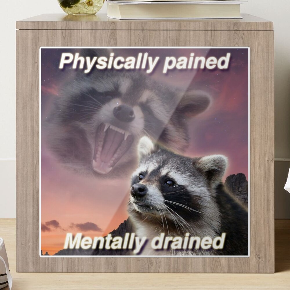 Physically Pained, Mentally Drained Raccoon Meme Sticker for Sale