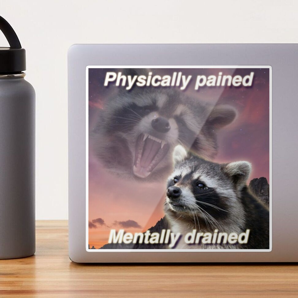 Physically Pained, Mentally Drained Raccoon Meme Sticker for Sale