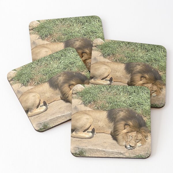 Item preview, Lion the Sydney zoo designed and sold by SazB33.