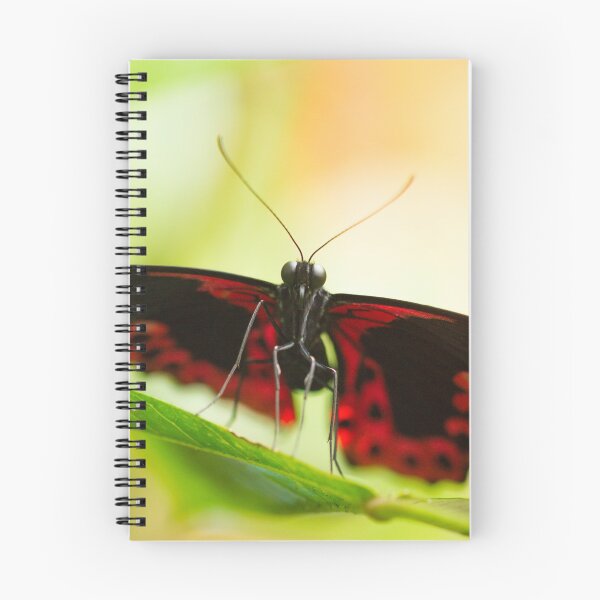 Item preview, Portrait of a butterfly designed and sold by AnnaKT.