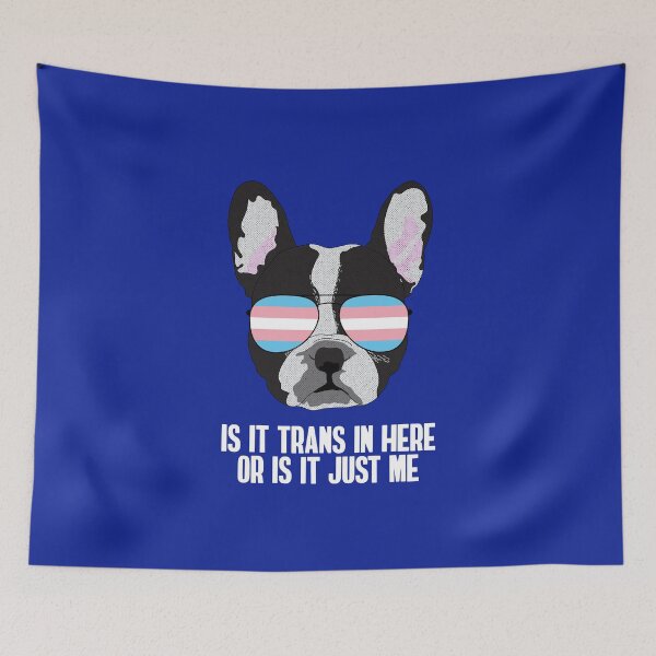 Item preview, IS IT TRANS IN HERE OR IS IT JUST ME - Funny Boston Terrier Dog Trans Pride Flag designed and sold by Lightfield.