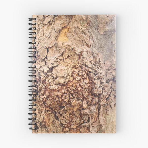 Item preview, Tree Bark Knot designed and sold by texturebank.