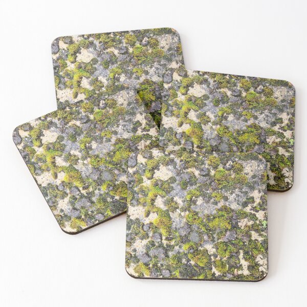Item preview, Green River Moss On Concrete designed and sold by texturebank.