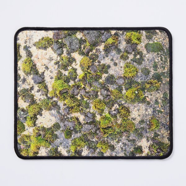 Item preview, Green River Moss On Concrete designed and sold by texturebank.