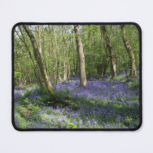 Item preview, MAVERICK natural world-bluebells designed and sold by MAVERICK-Artist.