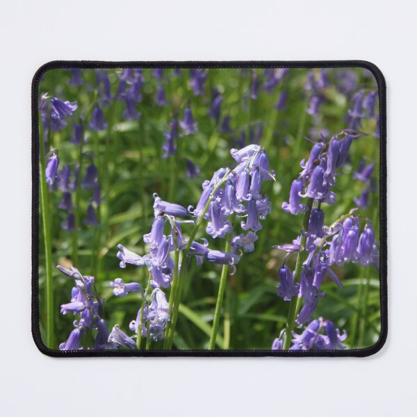 Item preview, MAVERICK NATURAL WORLD- Bluebells designed and sold by MAVERICK-Artist.