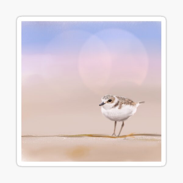Item preview, Pipper in the sand designed and sold by LRsWorkshop.
