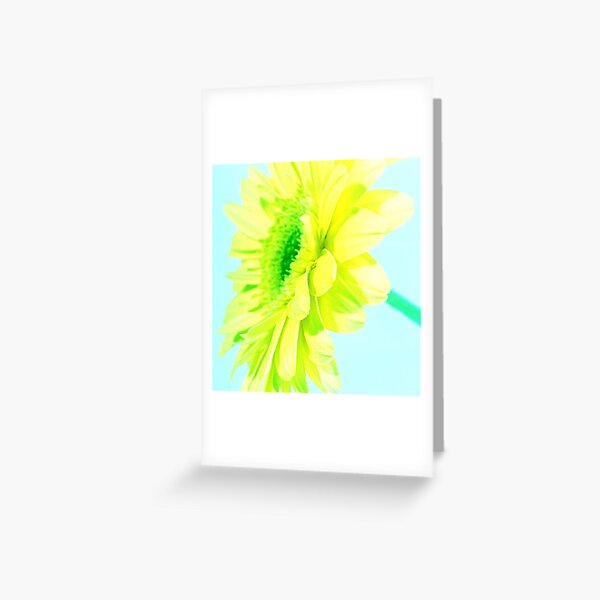 www.lizgarnett.com - Yellow Gerbera - UK576/01 Greeting Card