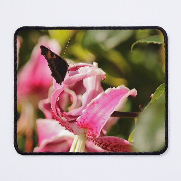 Item preview, Butterfly on Pink Flower Nature Lovers Vertical designed and sold by eddiebarronshop.