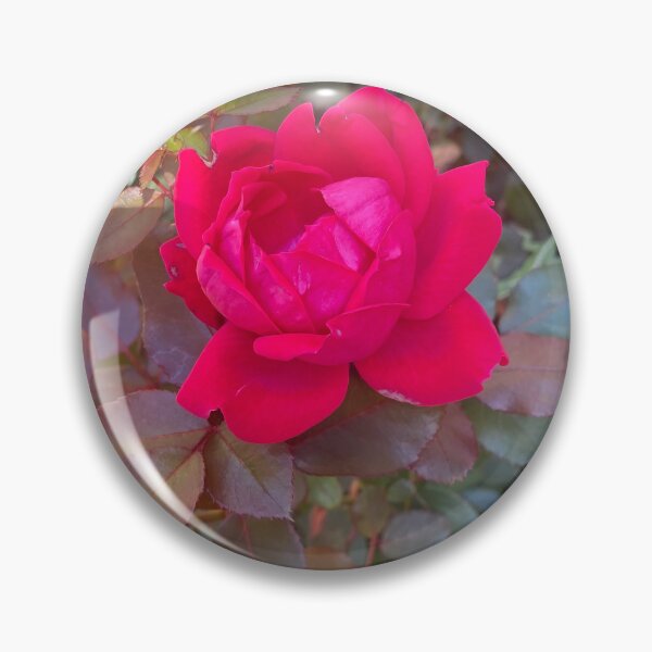 Item preview, Beauty in the Imperfections (#nofilters) designed and sold by kellykart.