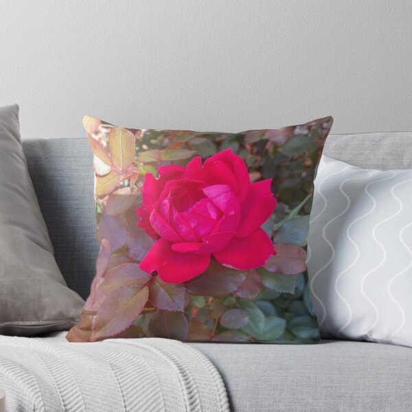 Item preview, Beauty in the Imperfections (#nofilters) designed and sold by kellykart.