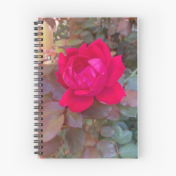 Item preview, Beauty in the Imperfections (#nofilters) designed and sold by kellykart.